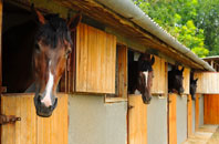 free Boraston Dale stable construction quotes